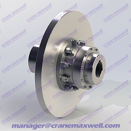 WGP Type Drum Gear Coupling With Brake Disc